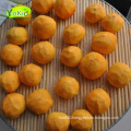 good manufactory of china frozen red persimmon